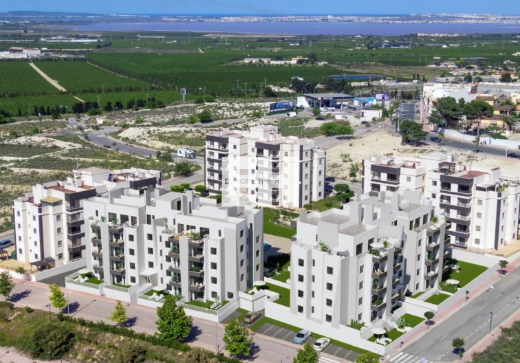 Resale - Apartment - San Miguel de Salinas - Inland