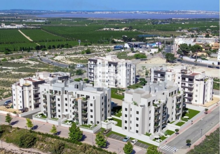 Resale - Apartment - San Miguel de Salinas - Inland