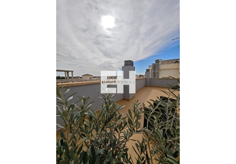 Resale - Apartment - San Miguel de Salinas - Pueblo 9