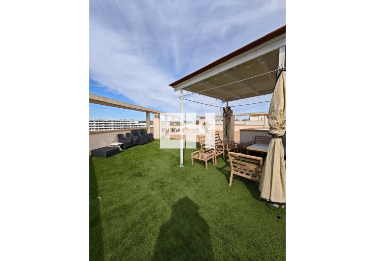 Resale - Apartment - San Miguel de Salinas - Pueblo 9