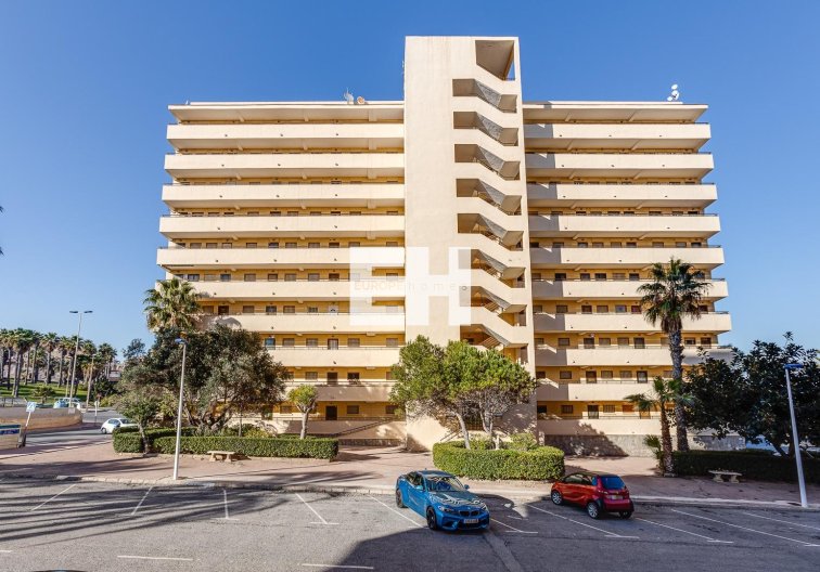 Segunda mano - Apartamento  - Torrevieja - Cabo Cervera
