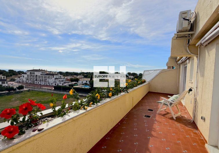 Resale - Penthouse - Torrevieja - Costa Blanca
