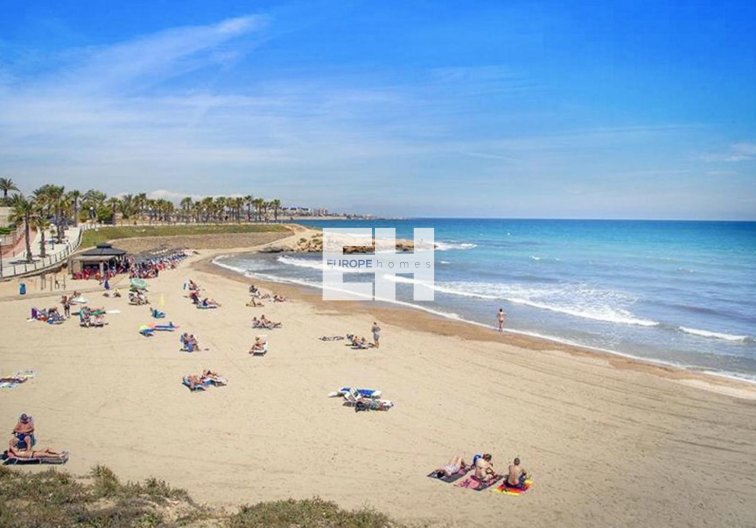 Revente - Appartement - Orihuela - Inland