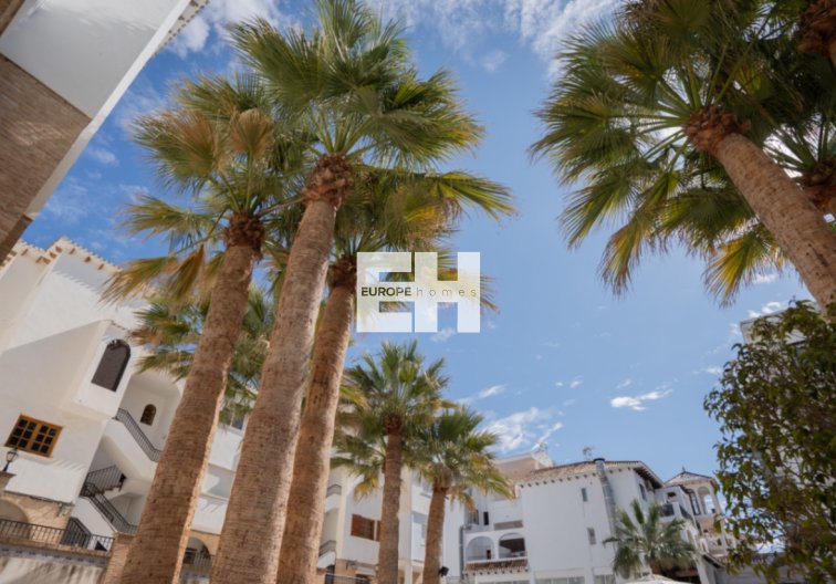 Revente - Appartement - Orihuela - Inland