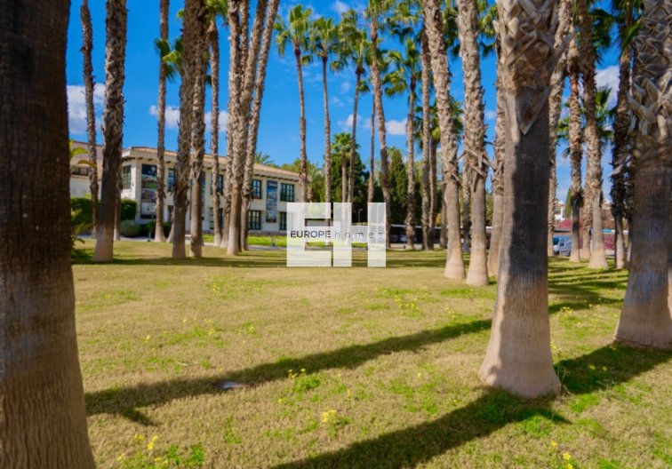 Revente - Appartement - Orihuela - Inland