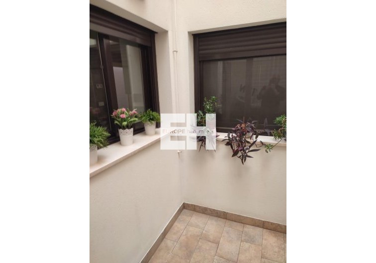 Segunda mano - Apartamento  - Orihuela - Zona Centro