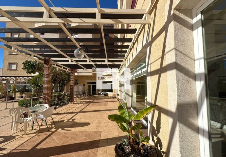 Segunda mano - Apartamento  - Orihuela Costa - Campoamor