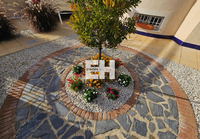 Revente - villa - Benijofar - Benimar 3