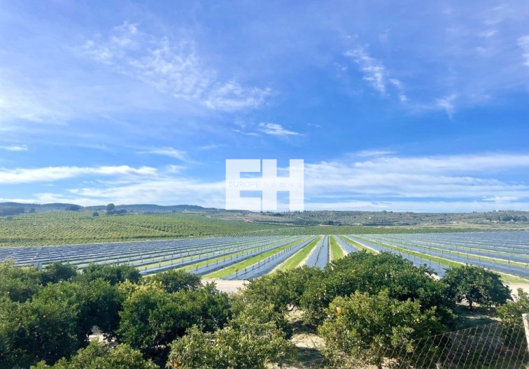 Segunda mano - Apartamento  - Orihuela Costa - Costa Blanca