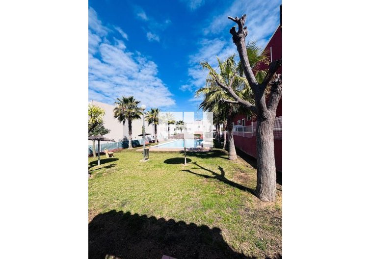 Segunda mano - Apartamento  - Torrevieja - Costa Blanca