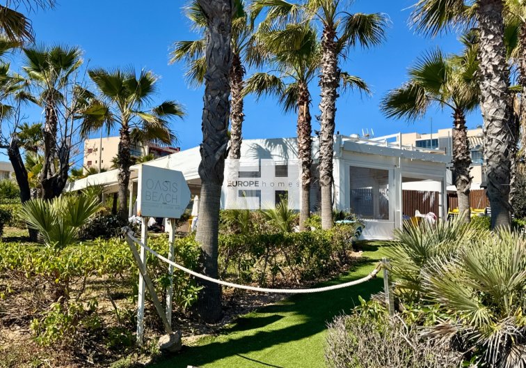 Segunda mano - Apartamento  - Pilar de la Horadada - Costa Blanca