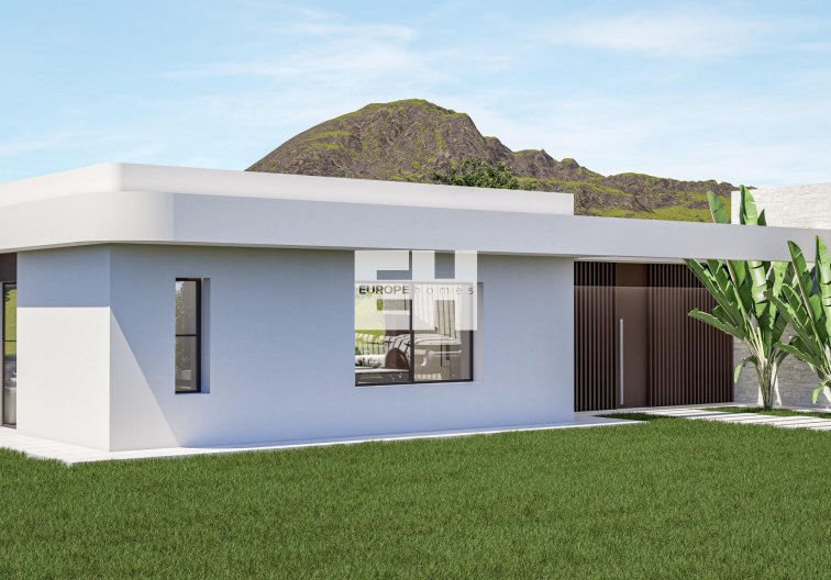 Obra Nueva - villa - Pinoso - Lel