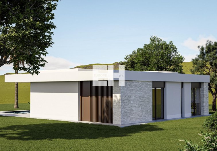 Neubau - villa - Pinoso - Lel