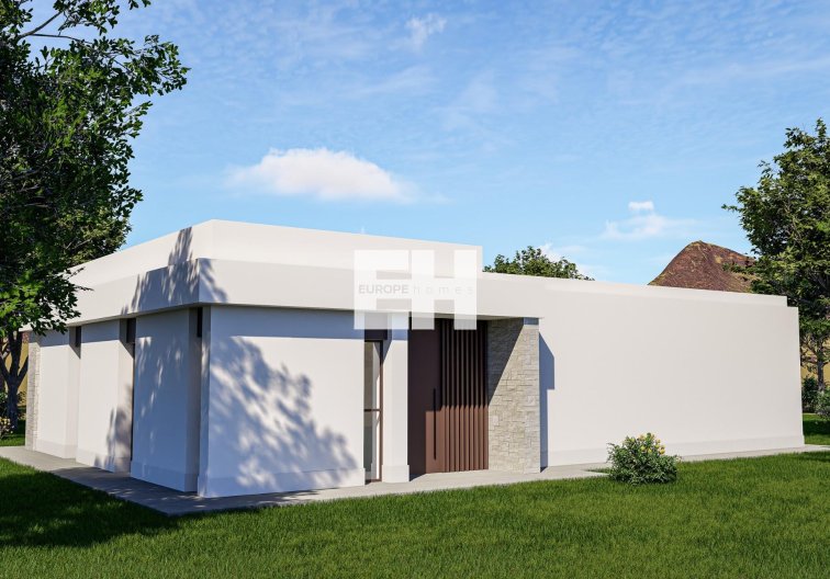 Neubau - villa - Pinoso - Lel