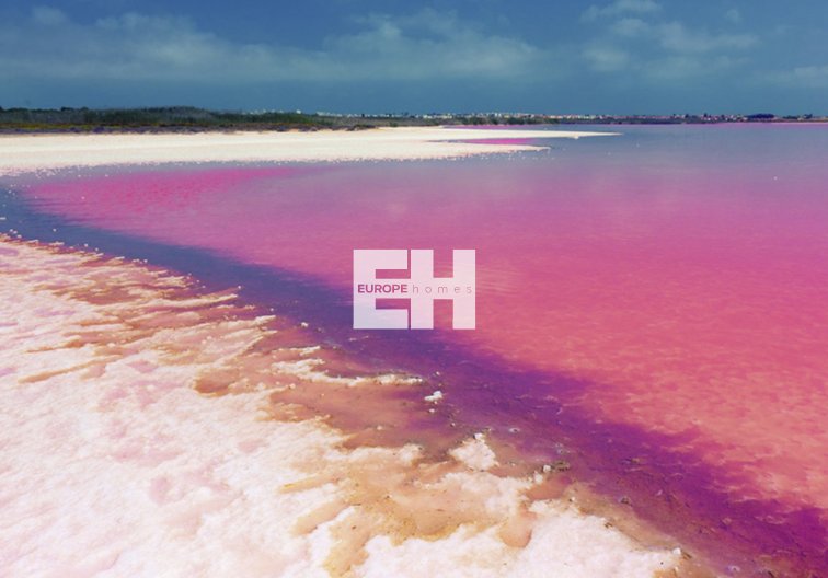 Resale - Apartment - Villamartin - Costa Blanca