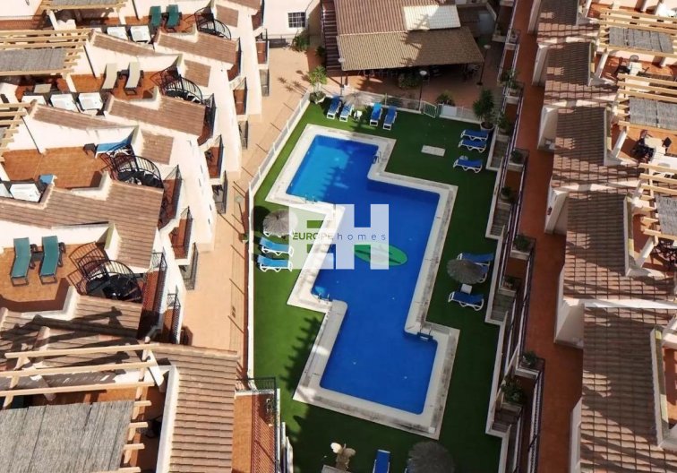 Construction Neuve - Penthouse - Aguilas - Collados