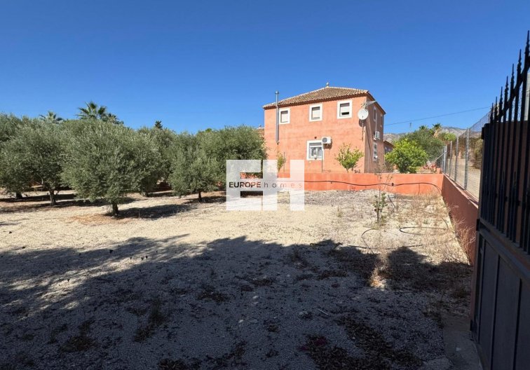 Segunda mano - Finca - Albatera - Inland