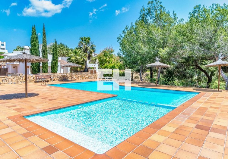 Wiederverkauf - Penthaus - Orihuela Costa - Costa Blanca