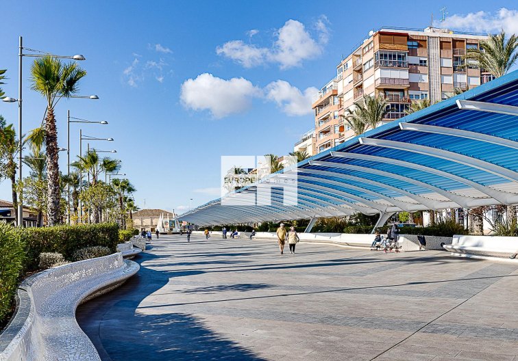Segunda mano - Apartamento  - Torrevieja - Costa Blanca