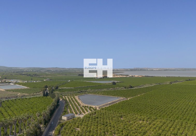 Revente - Appartement - San Miguel de Salinas - Inland