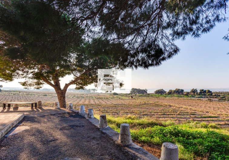 Revente - Bungalow - Torrevieja - La Siesta - El Salado - Torreta