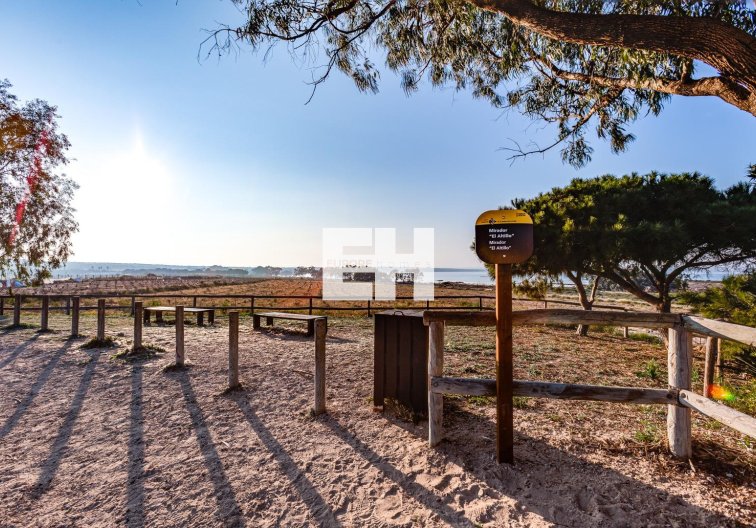 Revente - Bungalow - Torrevieja - La Siesta - El Salado - Torreta