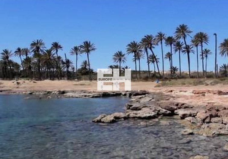 Revente - Penthouse - Torrevieja - La Veleta