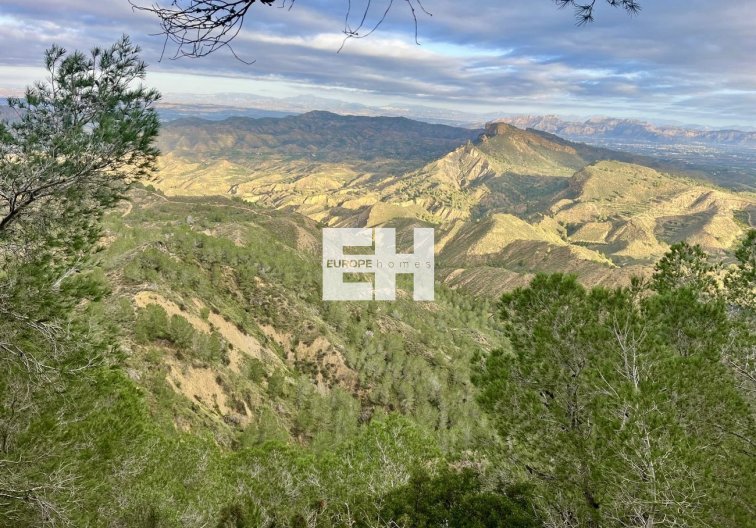 Herverkoop - Finca - Murcia - Sierra de Columbares Natural Park