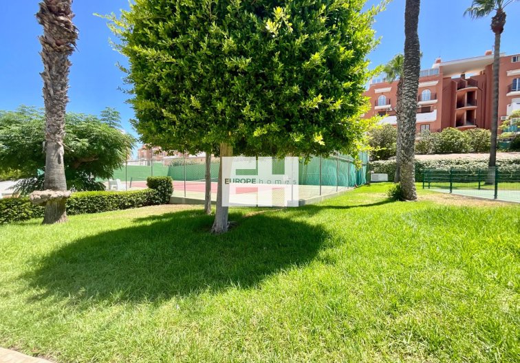 Revente - Bungalow - Torrevieja - Torreblanca