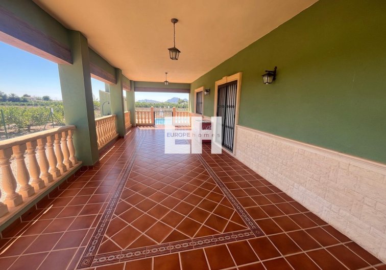 Revente - Finca - Daya Nueva - La Bodega