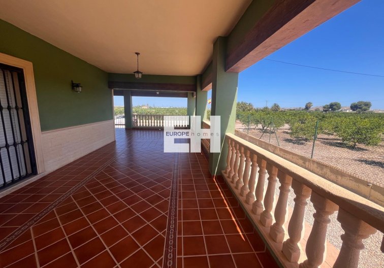 Revente - Finca - Daya Nueva - La Bodega
