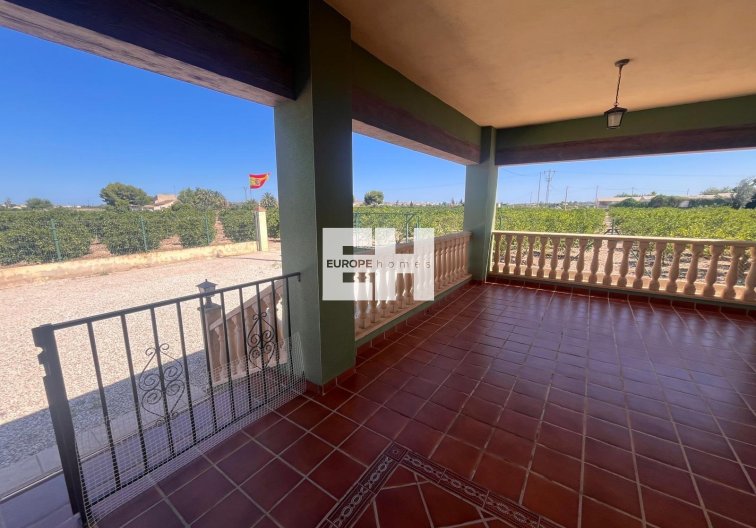 Revente - Finca - Daya Nueva - La Bodega