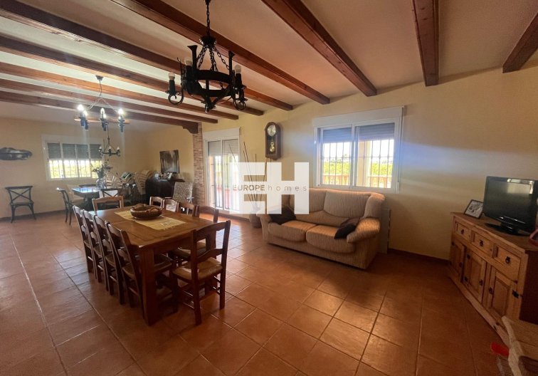 Revente - Finca - Daya Nueva - La Bodega