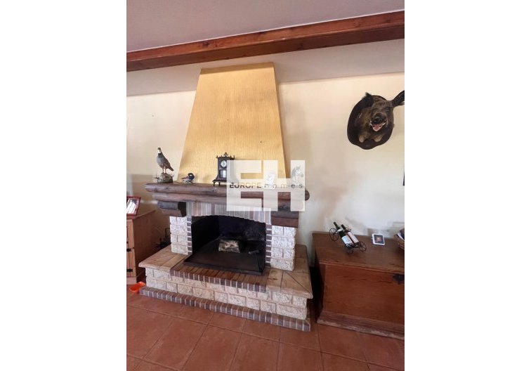 Revente - Finca - Daya Nueva - La Bodega
