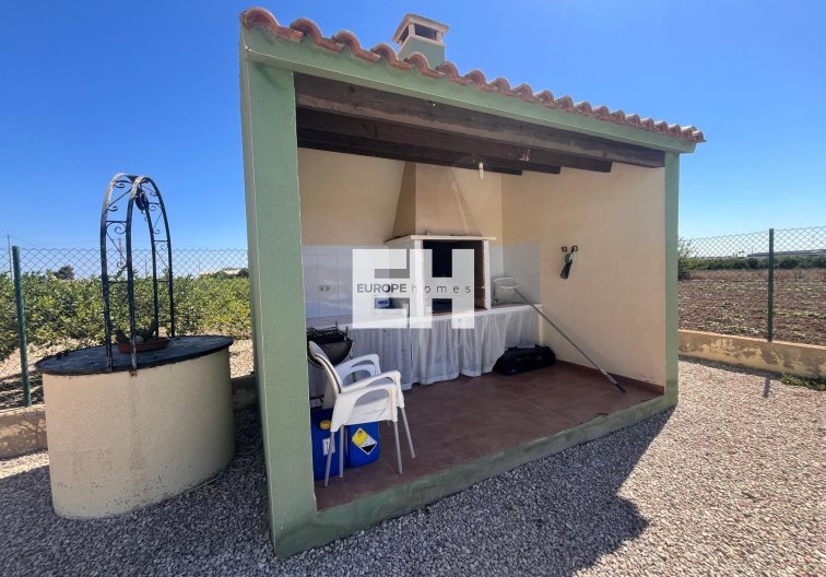 Revente - Finca - Daya Nueva - La Bodega