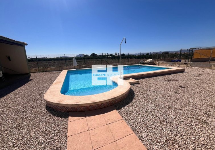 Revente - Finca - Daya Nueva - La Bodega