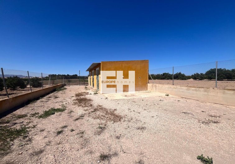 Revente - Finca - Daya Nueva - La Bodega