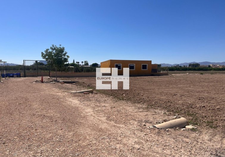 Revente - Finca - Daya Nueva - La Bodega