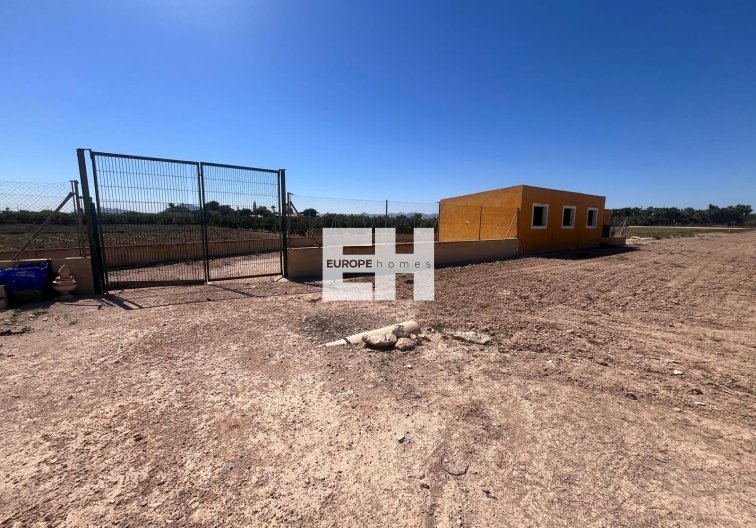 Revente - Finca - Daya Nueva - La Bodega