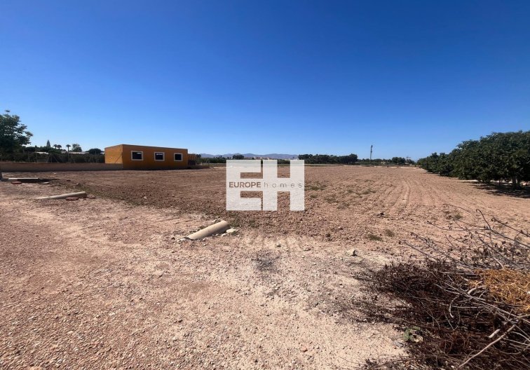 Revente - Finca - Daya Nueva - La Bodega
