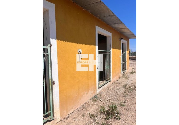 Revente - Finca - Daya Nueva - La Bodega