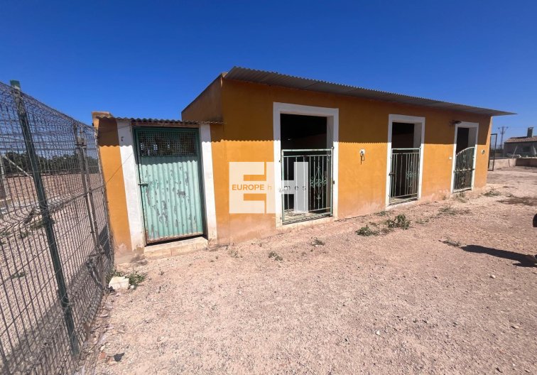 Revente - Finca - Daya Nueva - La Bodega