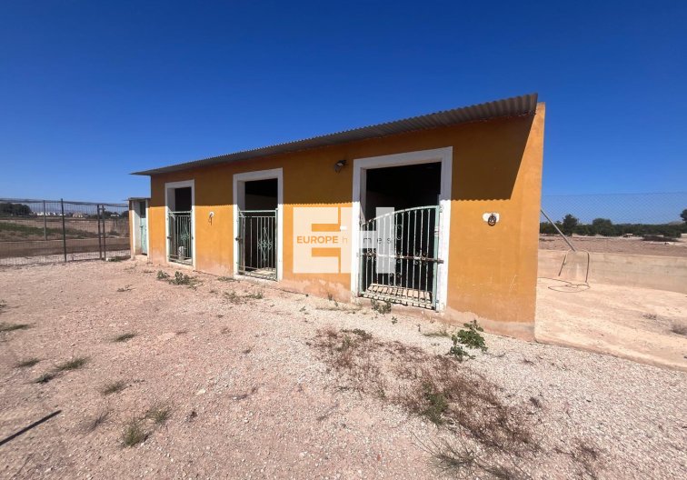 Revente - Finca - Daya Nueva - La Bodega