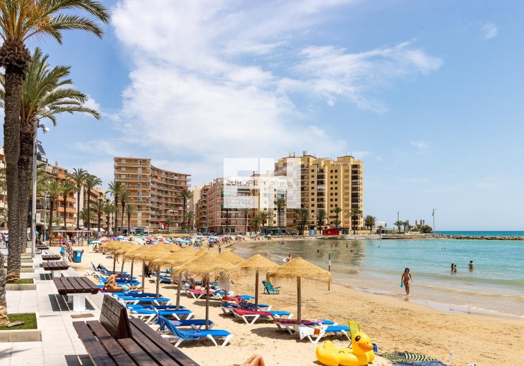 Segunda mano - Apartamento  - Torrevieja - Playa del Cura