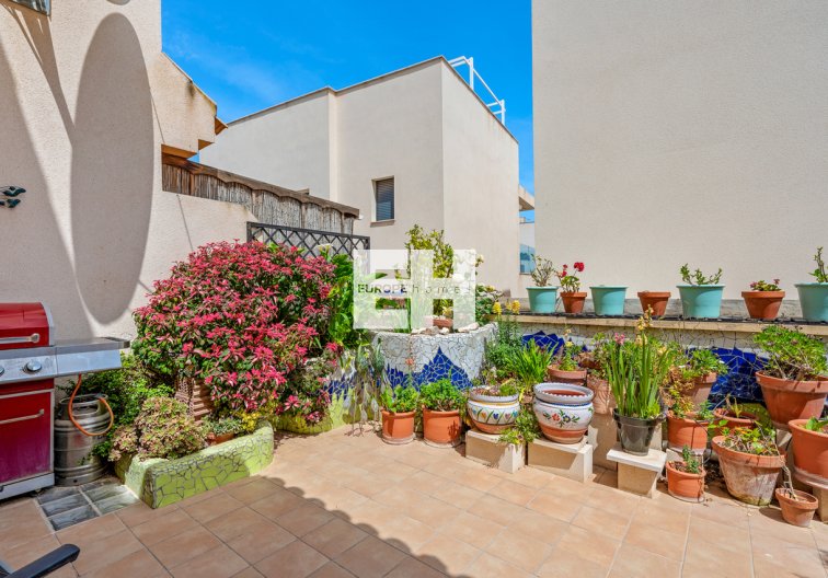 Resale - town house - San Miguel de Salinas - Inland