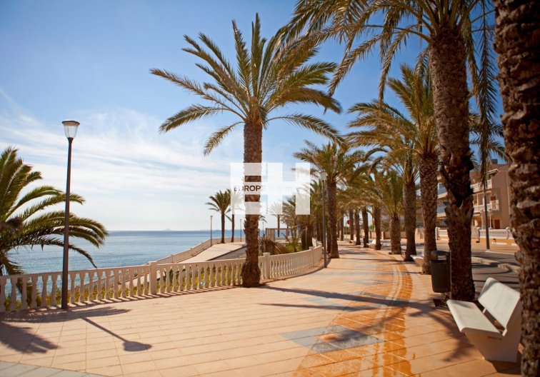 Resale - Apartment - Pilar de la Horadada - Torre de la Horadada