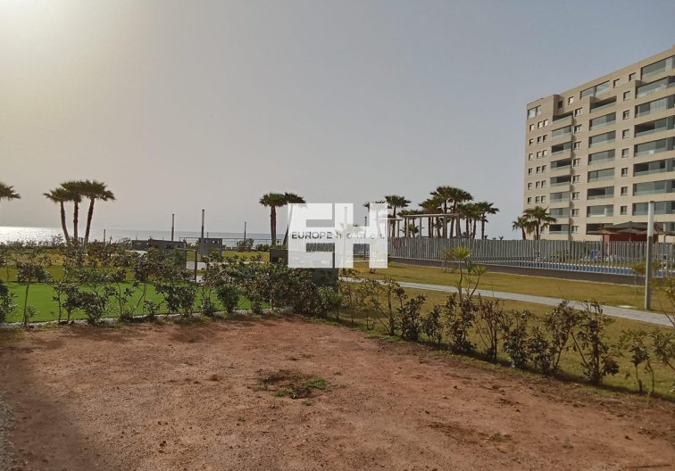 Wiederverkauf - Wohnung - Torrevieja - Punta Prima
