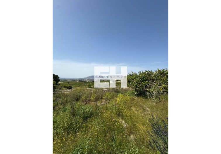 Revente - Finca - Orihuela - Arneva
