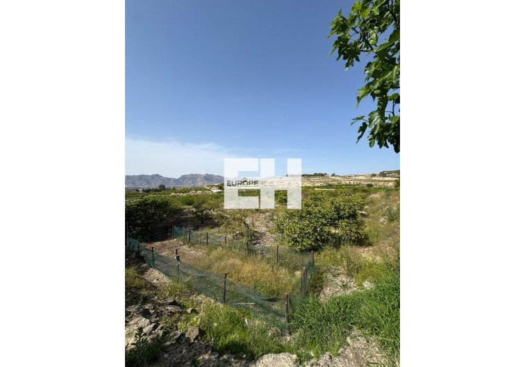 Revente - Finca - Orihuela - Arneva