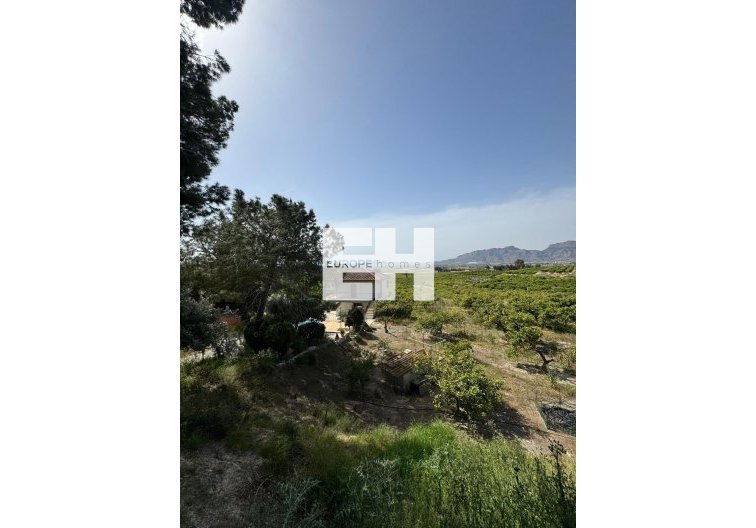 Revente - Finca - Orihuela - Arneva